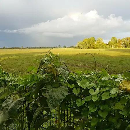 Alte Schmiede Nordenham